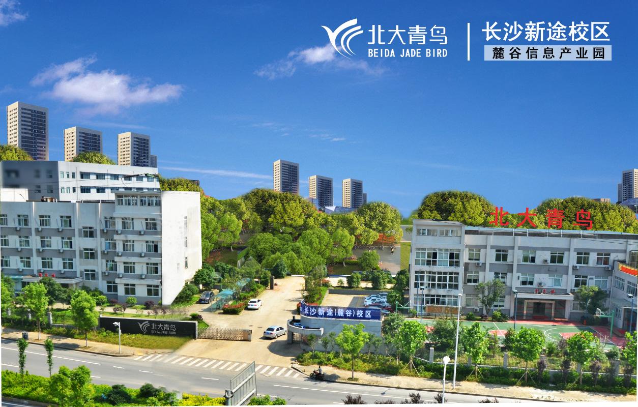 学什么专业就业前景好？长沙麓谷学院软件工程专业有前途吗？