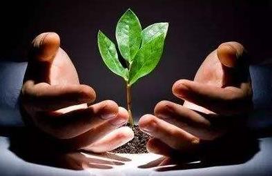 北大青鸟麓谷校区教学管理四大优势分析