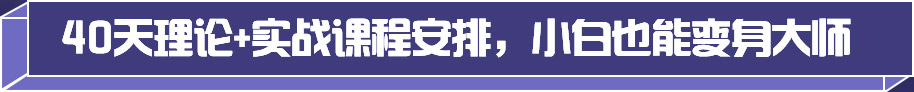 40天理论+实战课程安排，小白也能变身大师